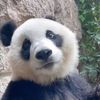 lzhanyi1