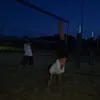 wolfevian