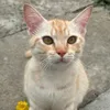 camlycutevv