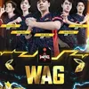 _fanwag290