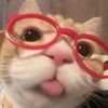 kiawww57