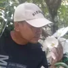 45patmono