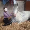 x.equine.cleo.x