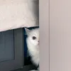 mtidbok_06