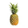 real_ananas_gang