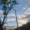 randomvidd02_