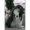 user62824348122724