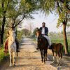 mustafakaira
