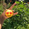 xoxo.meikaaa