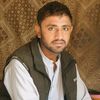 talhakhan81269