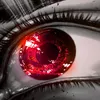 maxmv95