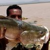 ferafarawtsehaye