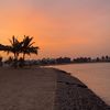 aboodi806