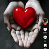 user8181706708542