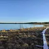 petteri22_