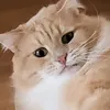 eanartl