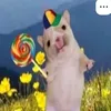 nathalia_dublico_