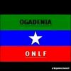 user5582621005519