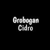 @grobogancidr0