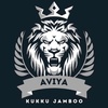 aviya_bro