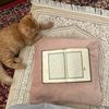 duaa.for.you
