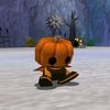 shovany_knk