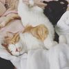 taz.thecat