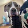 bubbalishandme