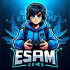 essam_se