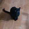 garijo95