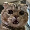 mondebuttter_