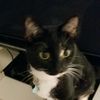 freyacatcozylife