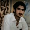 shahzaibhassan543