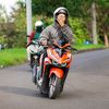 lettagank