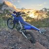 farm.bike.will