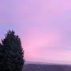 mqcsx_