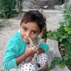 sonumughal427