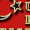 user13efoqf6qn
