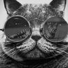 user11951884558454