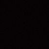 slf4e