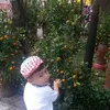 rybyloan