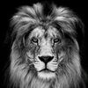 abualsaif625