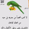 user7911141120859