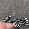 skate.board.girlx