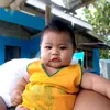 janellamendoz