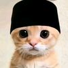 __rjatul