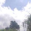 anna_91210