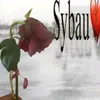 blzs_8x3x