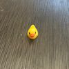 bobtheduck10