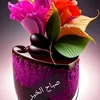 abu_alaa_alas3adi